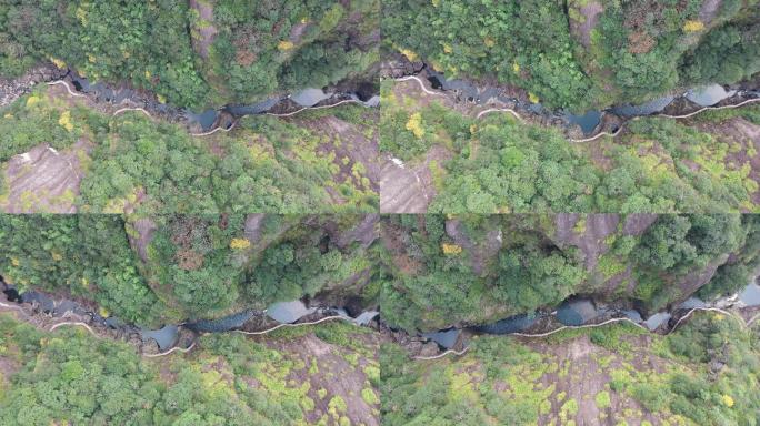 浙江温州文成铜铃山国家森林公园