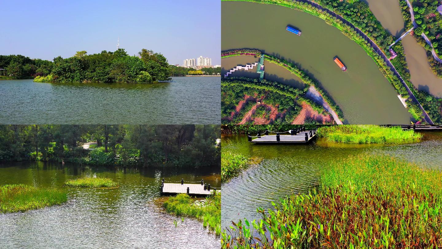 航拍广州海珠湖湿地公园