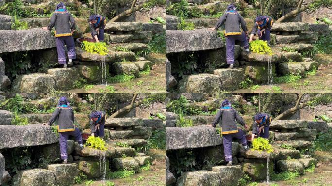 民俗广西上林鼓鸣寨少数民族妇女洗菜