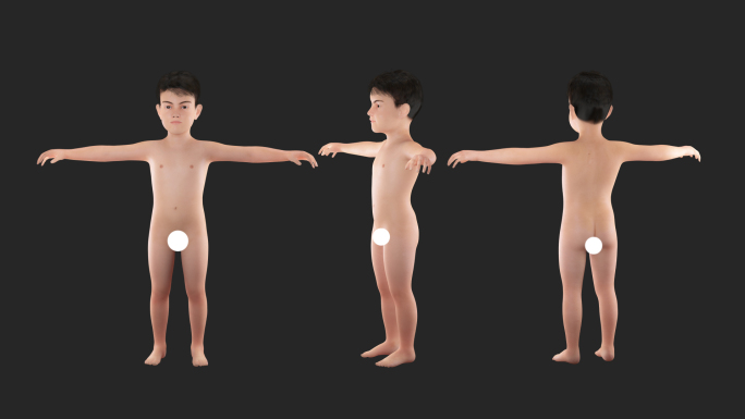 小男孩人体模型 人体模型 人体基础模型