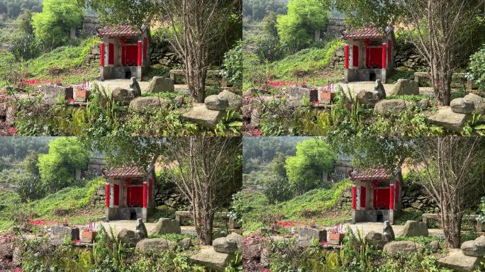 广西上林鼓鸣寨土地庙乡村春天风光