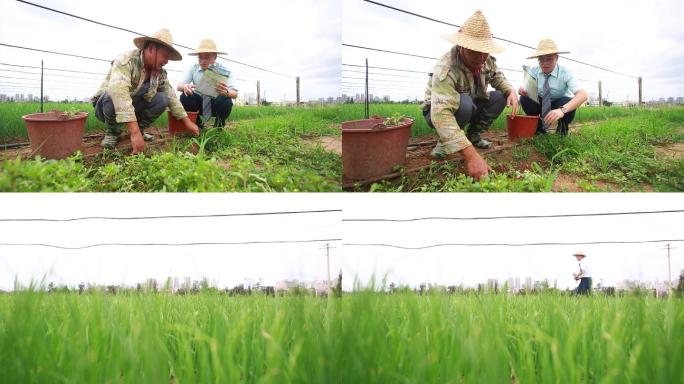 村干部下村检查