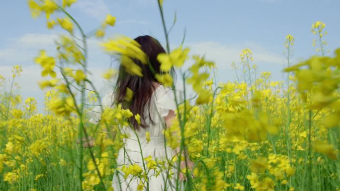 唯美油菜花田  少女奔跑 人文写意