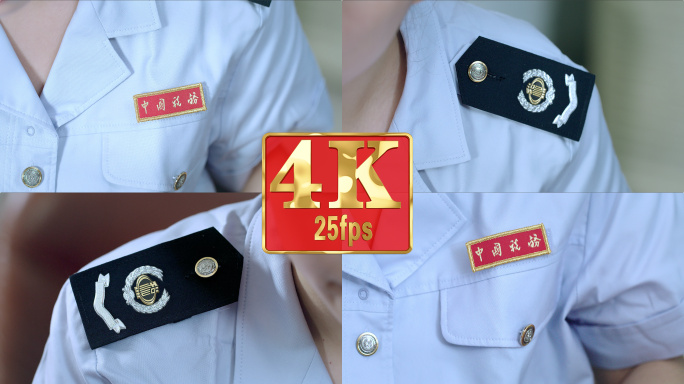 【4k】中国税务胸牌肩章