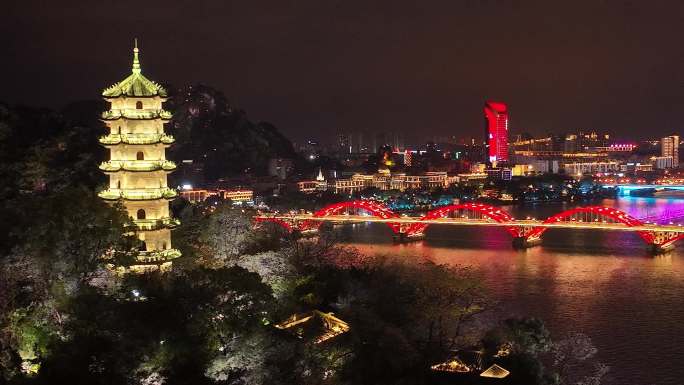 航拍广西柳州蟠龙湖公园灯光夜景全貌