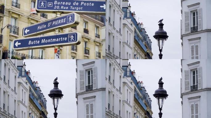 法国巴黎 街景 路牌 路灯 鸽子