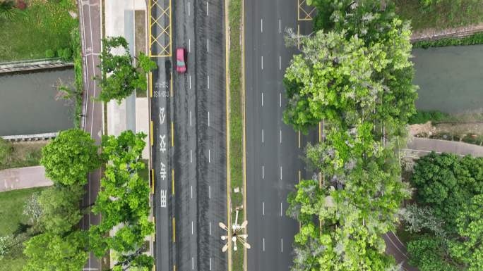 红荔路空景航拍