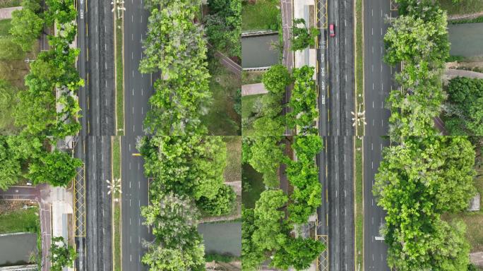 红荔路空景航拍