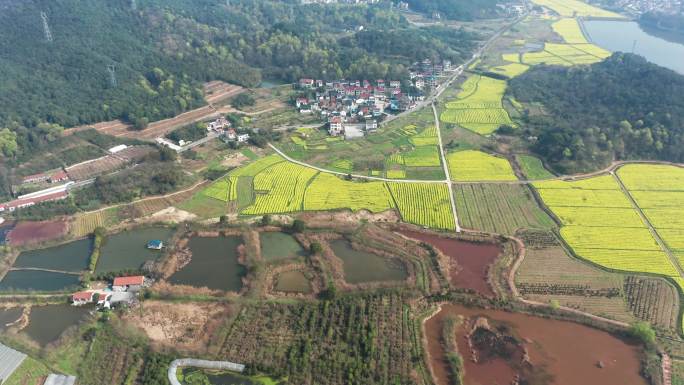 诸暨同山布谷湖风景区春季风光4K航拍