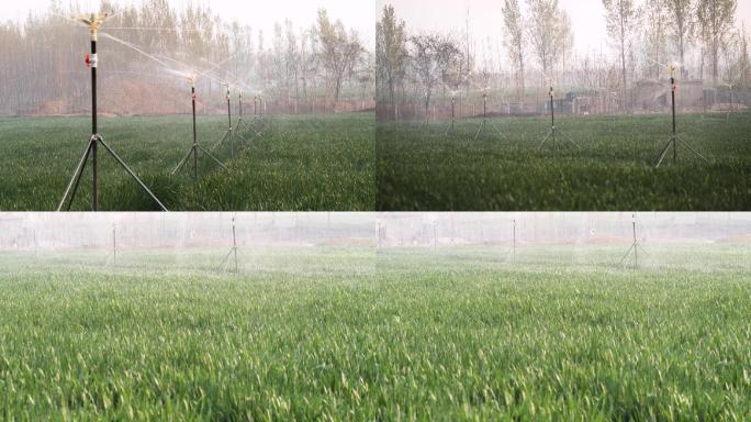 自动灌溉系统浇地麦子高清