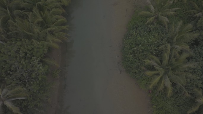 椰子岛 丛林 河流 帆船 皮船
