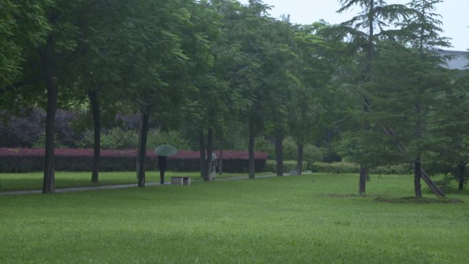 撑伞走在绿树下行人