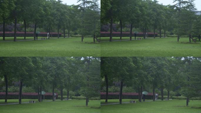 撑伞走在绿树下行人