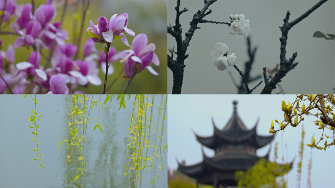 【4K】初春春雨