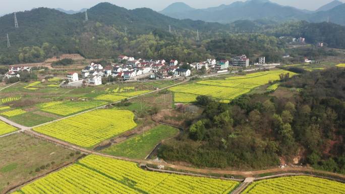 诸暨同山布谷湖风景区春季风光4K航拍