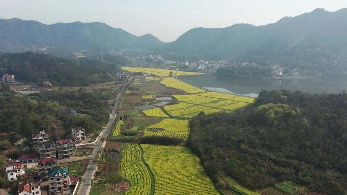 诸暨同山布谷湖风景区春季风光4K航拍