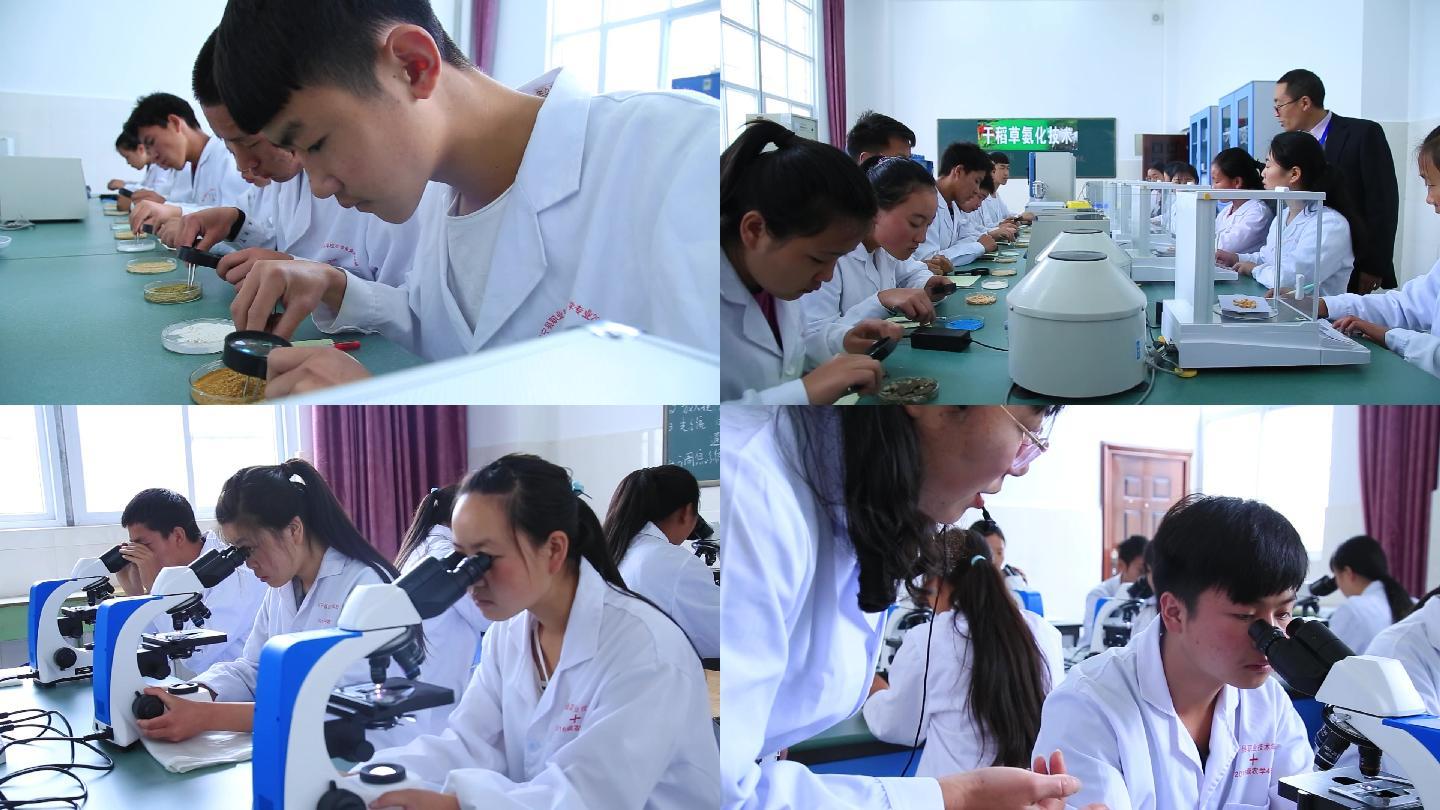 学生实验课显微镜畜牧农业