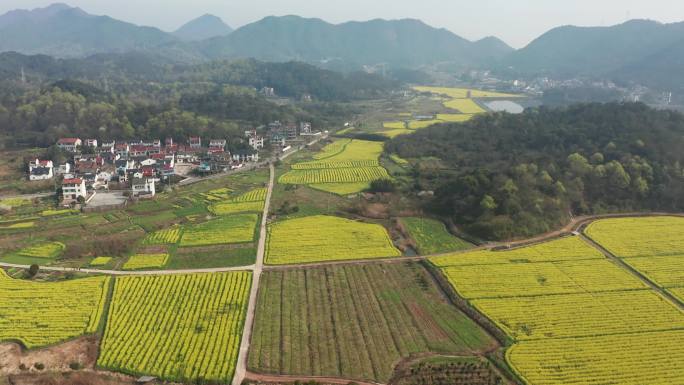 诸暨同山布谷湖风景区春季风光4K航拍