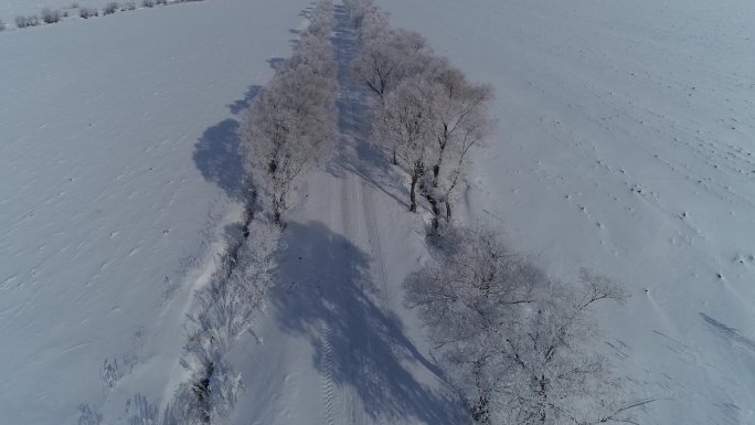 航拍冬季北方树挂雾凇田野 农村乡村路