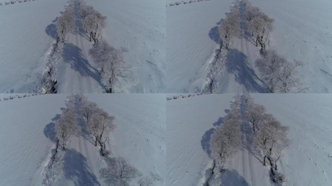 航拍冬季北方树挂雾凇田野 农村乡村路