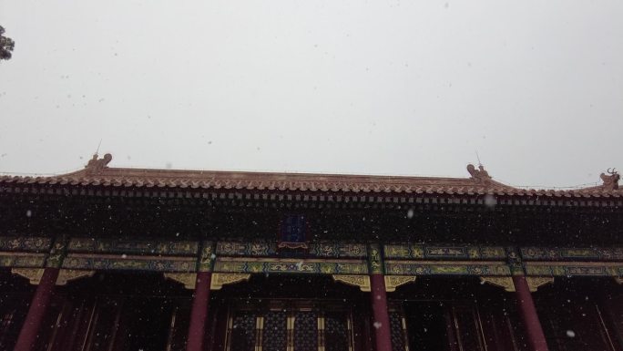 故宫寿康宫宫殿下雪