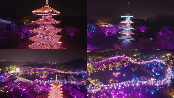 武汉樱花东湖磨山樱花园夜景