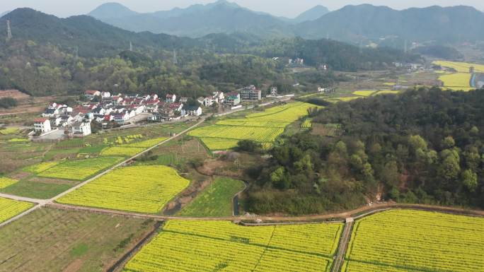 诸暨同山布谷湖风景区春季风光4K航拍