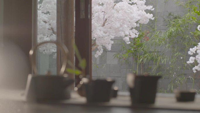 唯美意境茶壶樱花飘落丽江纳西族园林建筑