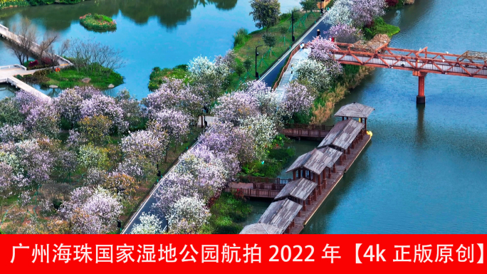广州海珠国家湿地公园航拍2022年