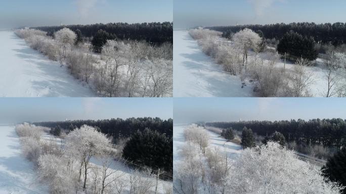航拍冬季北方树挂 雾凇 田野 农村铁路