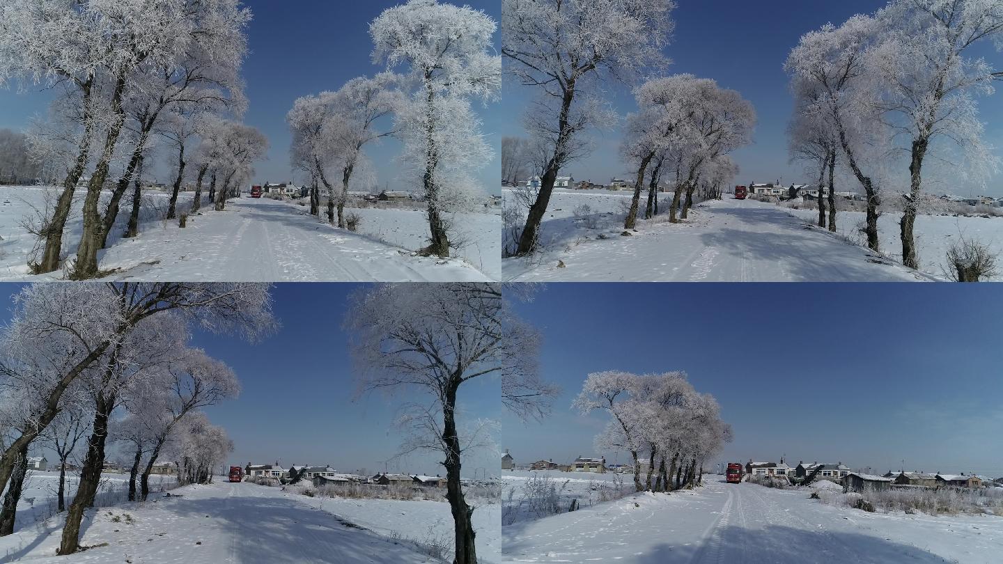 航拍冬季北方树挂雾凇田野农村乡村路
