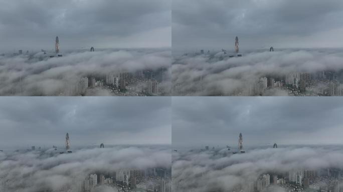 【4K正版素材】深圳城市超低平流雾云海