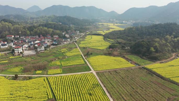 诸暨同山布谷湖风景区春季风光4K航拍