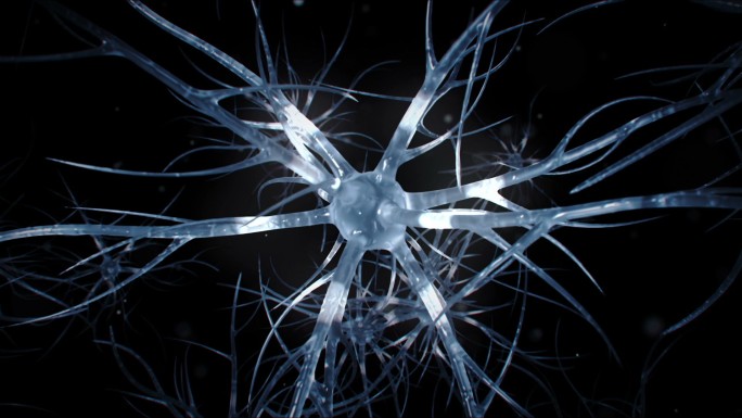 神经元细胞脉冲传递信号