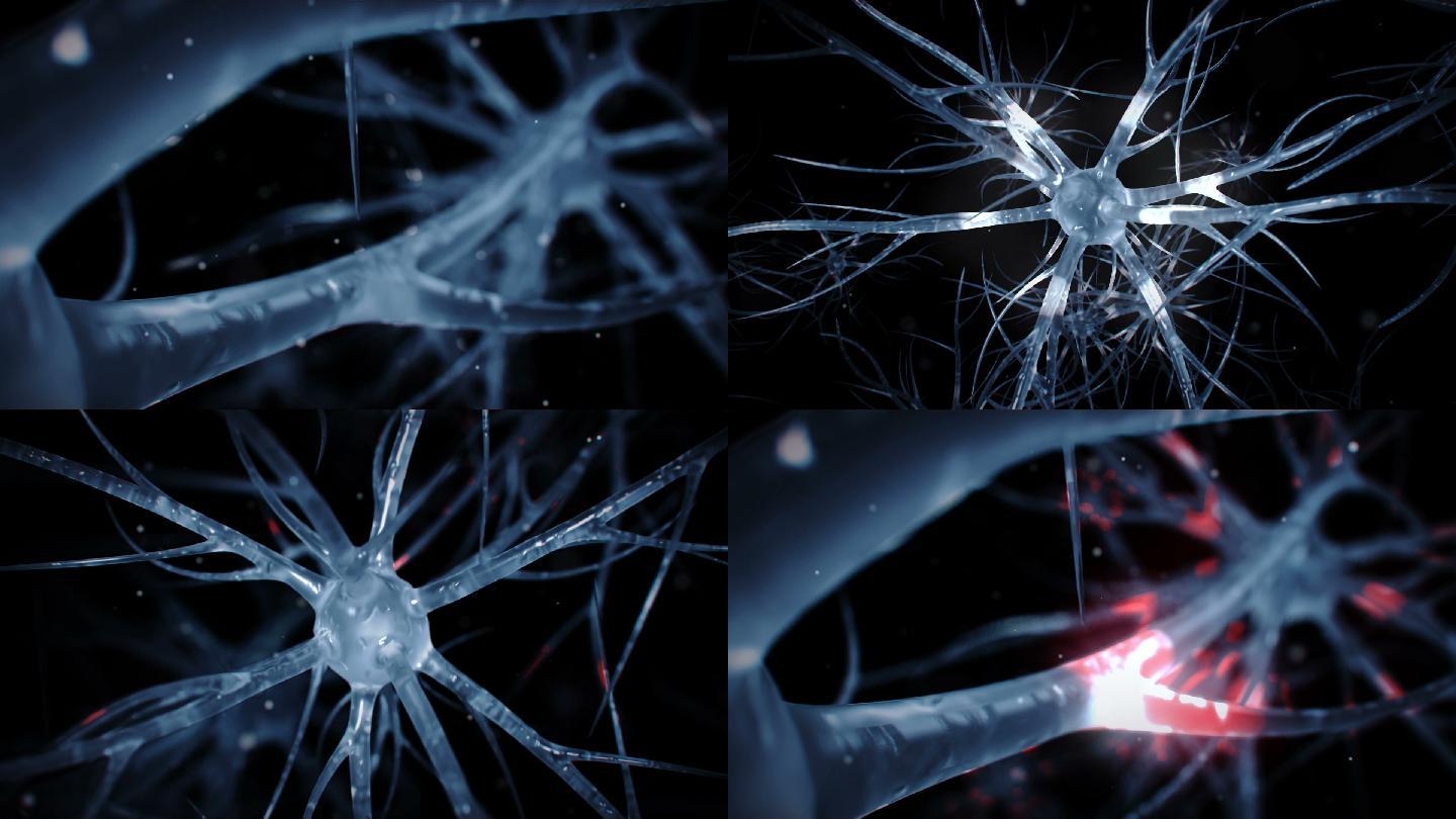 神经元细胞脉冲传递信号