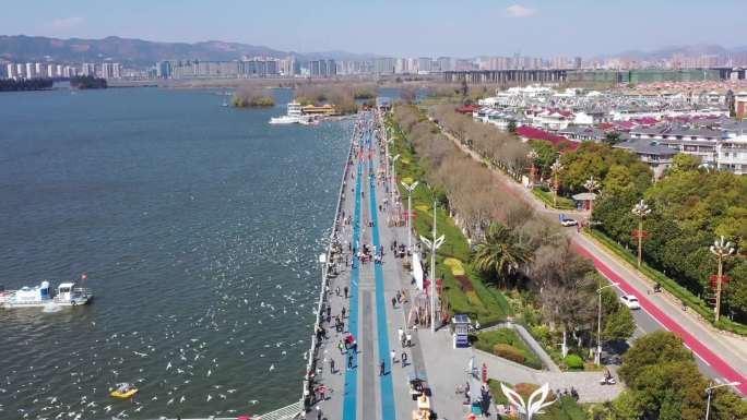 航拍昆明海埂大坝景区，海鸥海埂大坝