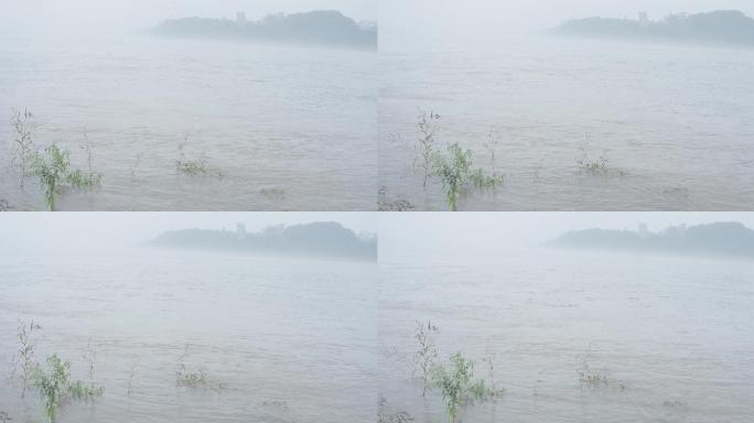 江水起雾