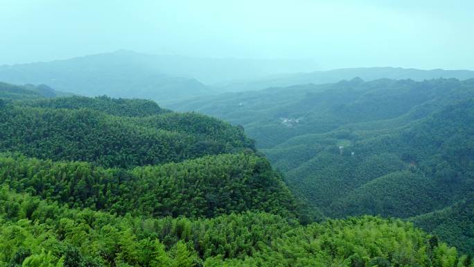 竹林 蜀南竹海 航拍