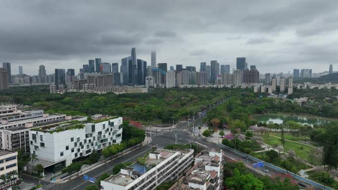 红荔路空景航拍