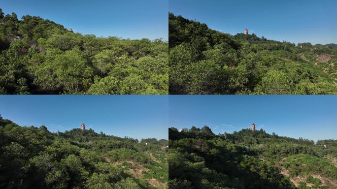 东莞观音山森林公园航拍4k视频