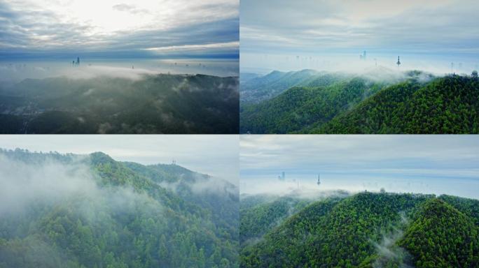 岳麓山雾景