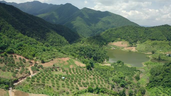 韶关航拍农村山村航拍农民收割