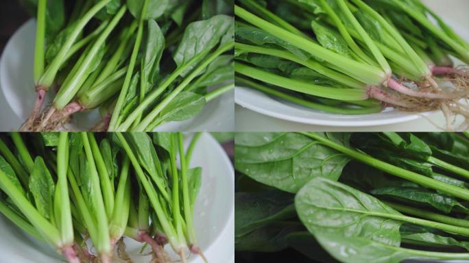 绿色蔬菜菠菜青菜