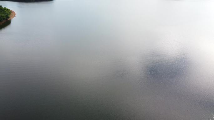 航拍东莞同沙生态公园水库