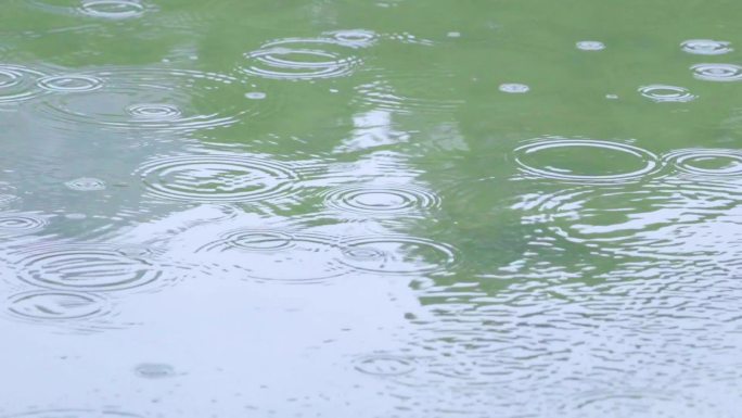 湖面下雨-水面的上雨滴涟漪