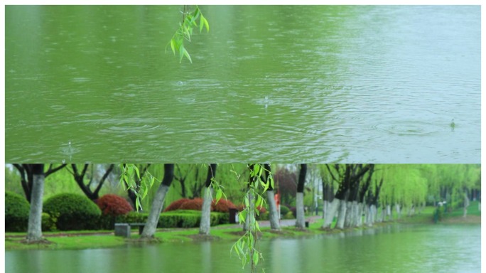 湖面雨滴涟漪荡漾西湖岸边