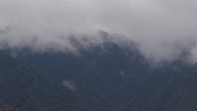 6K青山雨中云雾飘过01