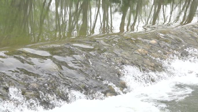 宜昌远安沮漳河湿地公园溪流