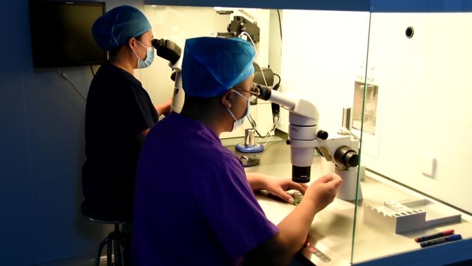 医院化验科医生化验员在显微镜下观察标本