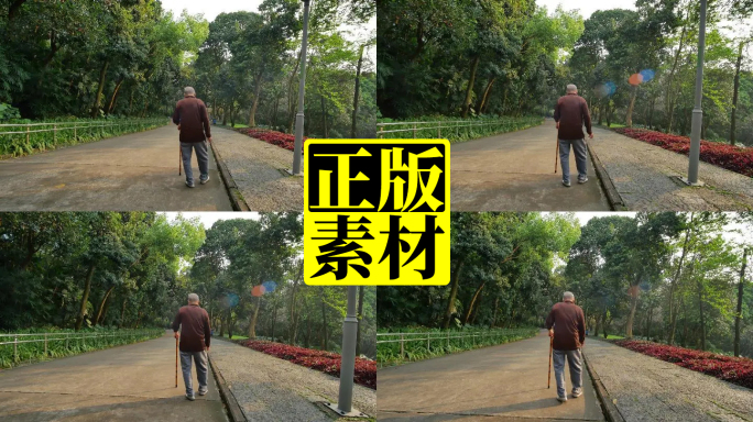 老人 父亲 背影 夕阳黄昏 老爷爷 散步